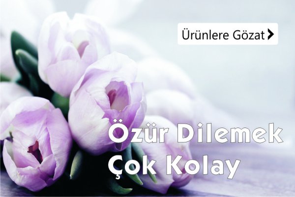 Özür dileme çiçekleri - İzmir çiçek siparişi