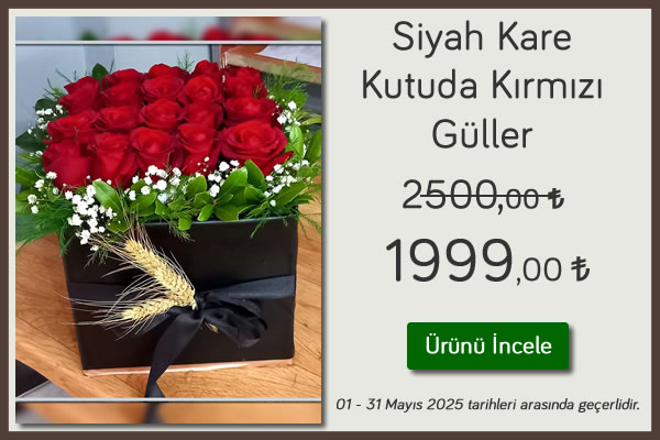 Siyah Kare Kutuda Kırmızı Güller Kampanya 01 - 31 Mayıs 2025 tarihleri arası geçerli, İzmir çiçekçi