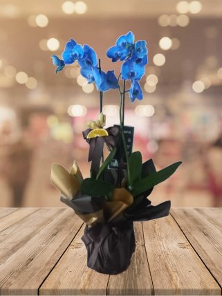 İki Dal Mavi Orkide, İzmir Çiçek Siparişi