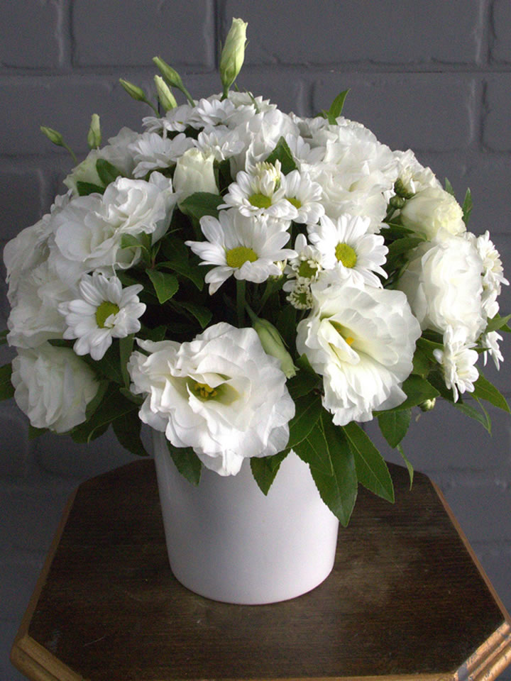 Seramikte Beyaz Lusiantus - İzmir Ladin Çiçek