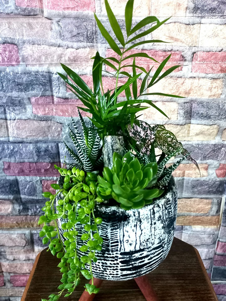 Teraryum Model 1, İzmir Çiçekçi