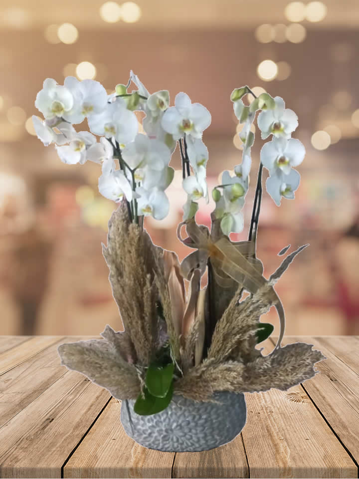 Dört Dal Beyaz Orkide, İzmir Çiçekçi